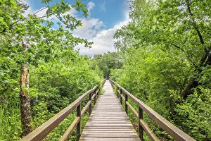Heath Prints: Bridge in the Thuelsfeld Dam nature reserve, Emsland, Lower Saxony, Germany
