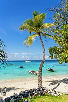 Q2 2023 Collection: Britania Bay, Mustique, Grenadines, Saint Vincent and the Grenadines Islands, Caribbean