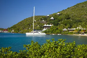 British Virgin Islands, Virgin Gorda, The Bitter End, Bitter End Yacht Club, hillside