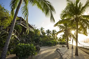 British Virgin Islands, Virgin Gorda, The Bitter End, Bitter End Yacht Club, hillside