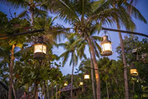 British Virgin Islands, Virgin Gorda, The Bitter End, palm trees and lanterns, dusk