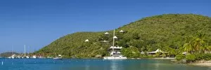 Images Dated 9th February 2017: British Virgin Islands, Virgin Gorda, The Bitter End, Bitter End Yacht Club, hillside