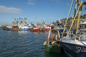 Brixham harbour, Devon, England, UK