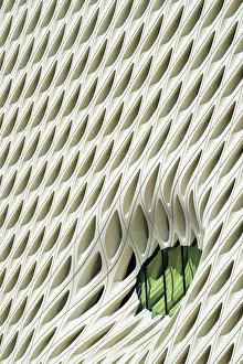 Images Dated 21st April 2017: The Broad Museum Detail, Los Angeles, California, USA