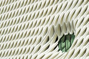 Images Dated 21st April 2017: The Broad Museum Detail, Los Angeles, California, USA