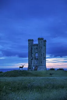 Broadway Tower and stag, Broadway, the Cotswolds, England, UK