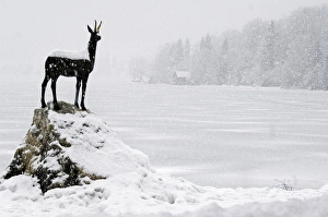 Former Yugoslavia Prints: Bronze statue of Slovenian Antelope in