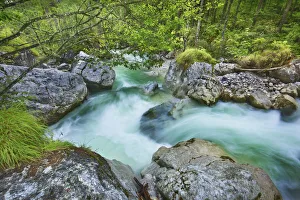 Ramsau Prints: Brook in deciduous forest - Germany, Bavaria, Upper Bavaria, Berchtesgadener Land, Ramsau