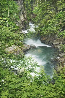 Carinthia Prints: Brook in gorge - Austria, Carinthia