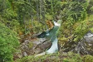 Images Dated 4th March 2021: Brook gorge in Maligne Canyon - Canada, Alberta, Jasper National Park