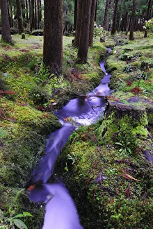 Covers Prints: Brook at the Lagoa das Patas Nature Reserve. Terceira, Azores islands, Portugal