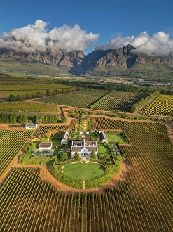 Western Cape Prints: Brookdale Wine Estate, Paarl, Western Cape, South Africa