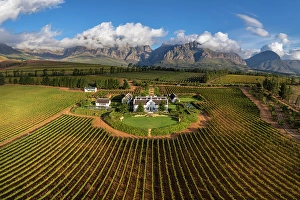 Western Cape Prints: Brookdale Wine Estate, Paarl, Western Cape, South Africa