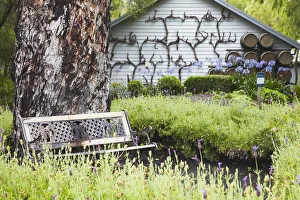 Western Australia Collection: Brookland Valley winery, Margaret River, Western Australia, Australia