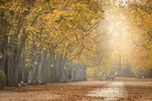 October Prints: Brunnenallee in the spa gardens of Bad Homburg vor der Hoehe, Taunus, Hesse, Germany