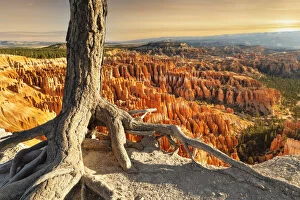 Erosion Landscape Collection: Bryce Amphittheater at sunsrise, Bryce Canyon National Park, Colorado Plateau, Utah, USA