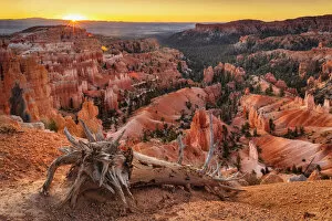Images Dated 27th May 2021: Bryce Amphittheater at sunsrise, Bryce Canyon National Park, Colorado Plateau, Utah, USA