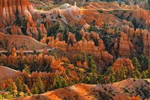 Bryce Canyon National Park, Colorado Plateau, Utah, USA