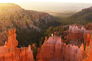 Geological Prints: Bryce Canyon National Park during a summer sunrise, Utah, USA
