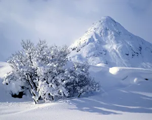 Buachaille Etive Mor in Winter, Glen Coe, Highland Region, Scotland Buachaille Etive Mor in Winter, Glen Coe, Highland Region, Scotland