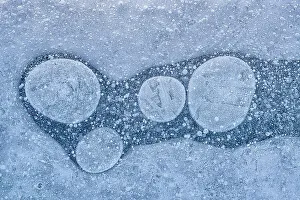 Textures Prints: Bubbles frozen in pond surface, Thornton, Ontario, Canada