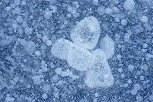 Textures Prints: Bubbles frozen in pond surface, Thornton, Ontario, Canada