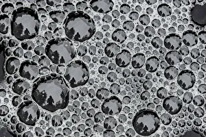 Bubble Prints: Bubbles in the Rosseau River, Muskoka, Ontario, Canada
