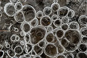 Simcoe County Prints: Bubbles trapped beneath ice in spring, Thornton, Ontario, Canada
