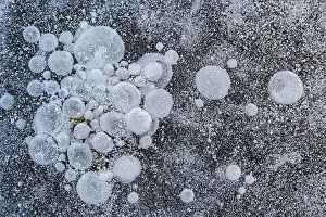 Abstract Image Prints: Bubbles trapped in frozen surface of pond, Thornton, Ontario, Canada