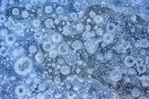 Abstract Image Prints: Bubbles trapped in frozen surface of pond, Thornton, Ontario, Canada