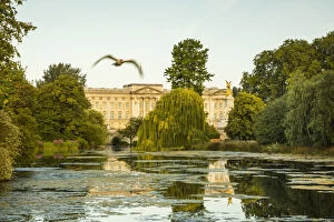 Buckingham Palace, St. Jamess Park, London, England, UK