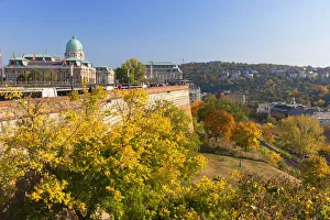 East European Prints: Buda Castle, Budapest, Hungary