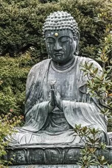 Images Dated 10th November 2015: Buddha at Gokokusan Tenno ji Temple, Taito, Tokyo, Japan