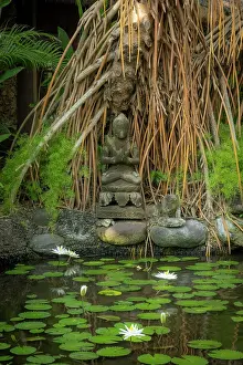 Lily Prints: Buddha statue & Lily pond at the Oberoi Hote in Seminyak,
Bali, Indonesia