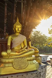 Buddha statue at Seema Malakaya, Colombo, Sri Lanka
