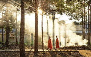 Two Buddhist monks walking past smoke from a fire, Xien Can Pagoda, Bac Lieu, Mekong Delta, Vietnam
