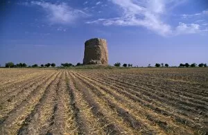 Central Asian Gallery: Buddhist stupa