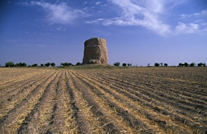 Central Asian Gallery: Buddhist stupa