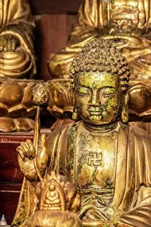 Buddhist temple, Pho Co Hoa Lu (ancient capital of Vietnam in 10-11th centuries), Ninh Binh, Vietnam