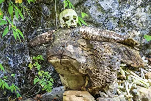 Death Prints: Buffalo-shaped wood tomb with skull and bones, Rantepao, Tana Toraja, Sulawesi, Indonesia