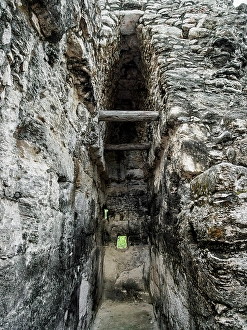 Building at the main plaza, Calakmul Archaeological Site, Campeche State, Mexico
