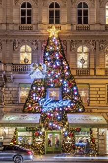 BuildingaA┬ÇA┬Ös facace decorated with Christmas tree, Vienna, Austria