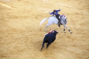 Bullfight, Jerez de la Frontera, Cadiz Province, Andalusia, Spain
