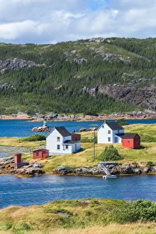 Newfoundland Prints: Burden's Point, Salvage village, east coast of Newfoundland, Canada