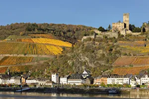 Gutenfels Prints: Burg Gutenfels, Kaub, Rhine Valley, Rhineland-Palatinate, Germany