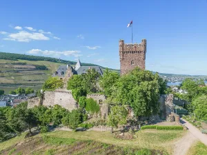Wine Growing Region Prints: Burg Klopp at Bingen, Rhine valley, Rhineland-Palatinate, Germany