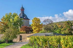 Rhein Prints: Burg Vollrads, Taunus, Hesse, Germany