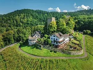 Wine Growing Area Prints: Burg Windeck Castle, Bühl, Black Forest, Baden-Wurttemberg, Germany