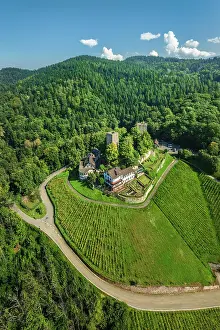 Wine Growing Area Prints: Burg Windeck Castle, Bühl, Black Forest, Baden-Wurttemberg, Germany