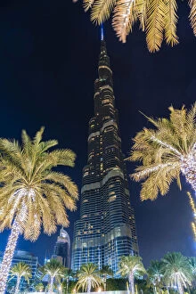 Burj Khalifa & palm trees at night, Dubai, United Arab Emirates, U.A.E
